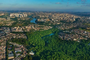 Seis moradores de Londrina levam R$ 1 mil no Nota Paraná; veja bairros