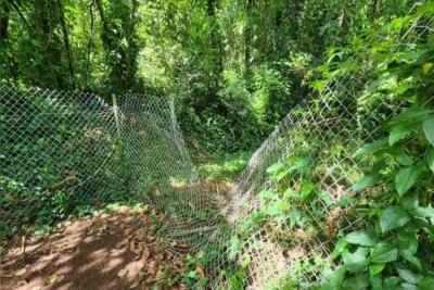 Revitalização do Parque Arthur Thomas terá aditivo de R$ 460 mil e atraso de três meses