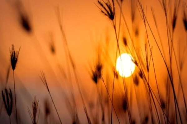 Calor deve continuar em todo o país ao menos até quarta-feira