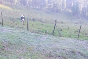 Frio intenso no Paraná, com temperaturas mínimas do ano e geada em várias regiões