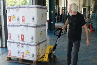 Com 332 mil doses, Paraná inicia preparativos para campanha de vacinação contra a gripe