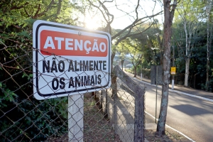 Conservação em Harmonia: Aviso Importante sobre a Alimentação de Animais Silvestres no Parque Arthur Thomas