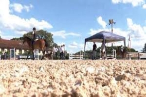 Inovação Hípica: Parque Ney Braga Abre Centro de Hipismo com Modernas Pistas de Treinamento