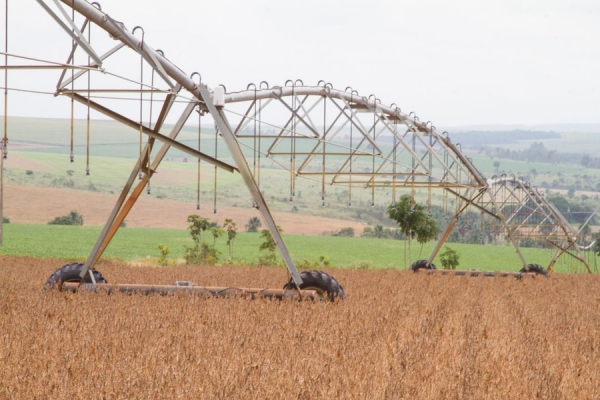 Valor da produção agrícola foi recorde em 2019 e atingiu R$ 361 bi